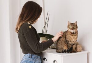 cat, woman, pet grooming-6593963.jpg